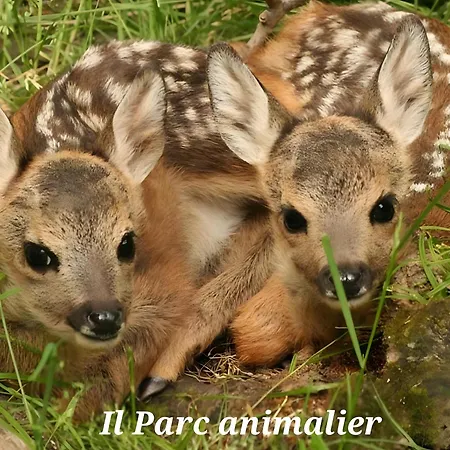 La Petite Maisonnette אינטרוד