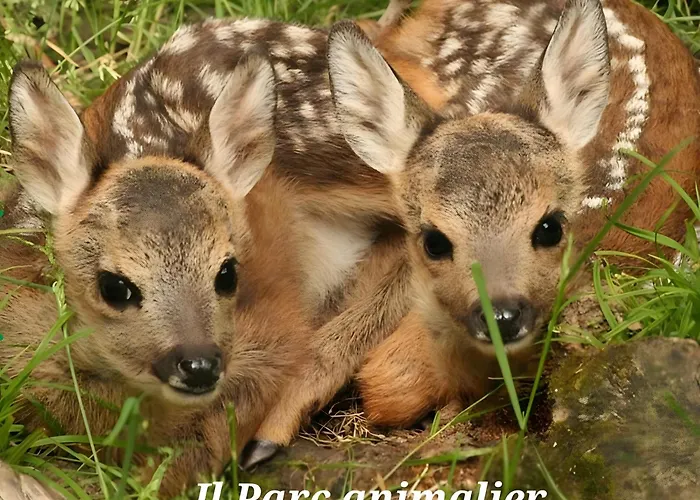 La Petite Maisonnette Introd